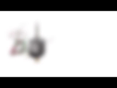 Dwubiegunowy hybrydowy silnik krokowy NEMA 8 o średnicy 20 mm