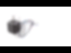 Dwubiegunowy hybrydowy silnik krokowy NEMA 8 o średnicy 20 mm