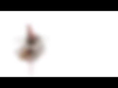 10mm Mini silnik krokowy z magnesami trwałymi 5v 2 fazy 18 stopni